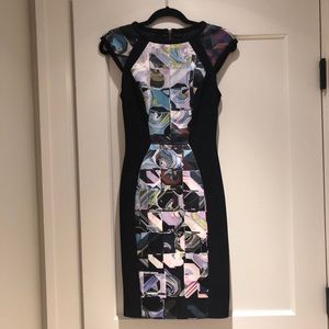 Sz 2 TED BAKER Sibonny dress